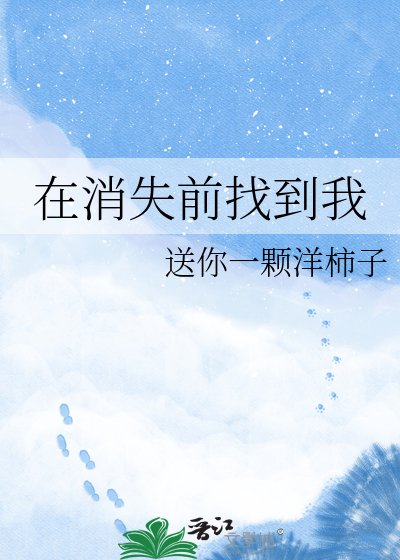 《在消失前找到我》