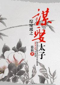 《綜瓊瑤之謀娶太子》