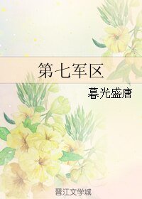 《第七军区》