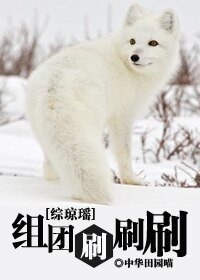 《(綜瓊瑤同人/BL)綜瓊瑤之組團刷刷刷》